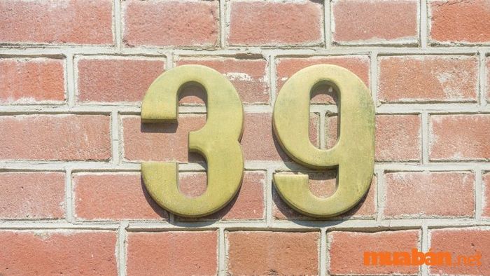 Người mệnh Hỏa nên chọn số nhà phù hợp với bản mệnh để thu hút vận khí tốt.