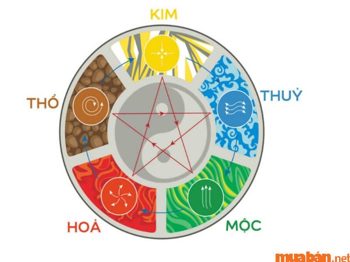 Bình Địa Mộc