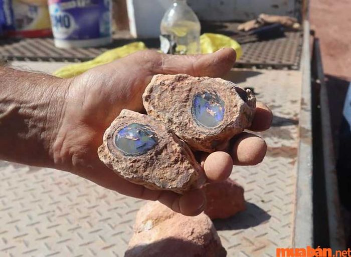 Opal có thể hình thành trong các loại đá khác nhau, tạo ra sự đa dạng về vẻ đẹp và đặc tính của nó.