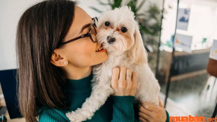 Khái quát về phụ nữ tuổi Nhâm Tuất