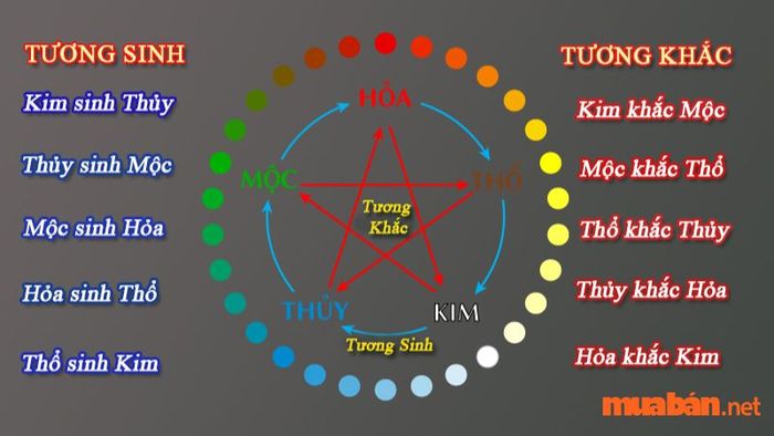 Hành Mộc tương sinh và tương khắc với mệnh nào?
