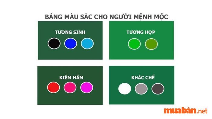 Mệnh Mộc phù hợp với màu sắc nào?