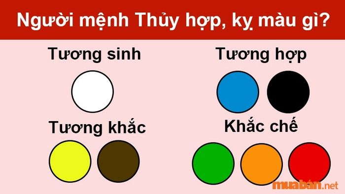 Trong phong thủy, số 66 thuộc hành Thủy, có sự tương sinh với mệnh Mộc vì Thủy sinh Mộc, đồng thời hỗ trợ người mệnh Thủy. Tuy nhiên, con số này lại xung khắc với người mệnh Hỏa, theo quy luật ngũ hành tương khắc.