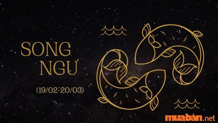 Cung Song Ngư Phù Hợp Nhất Với Cung Nào?