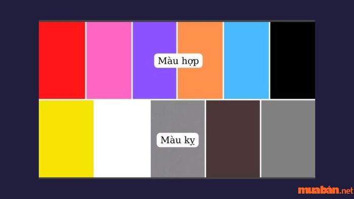 Màu sắc nào hợp và kỵ với sao La Hầu?