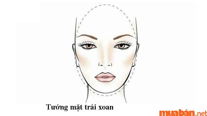 Khuôn mặt trái xoan thường được đánh giá cao vì khả năng thích nghi linh hoạt và luôn giữ được lý trí trong mọi hoàn cảnh.