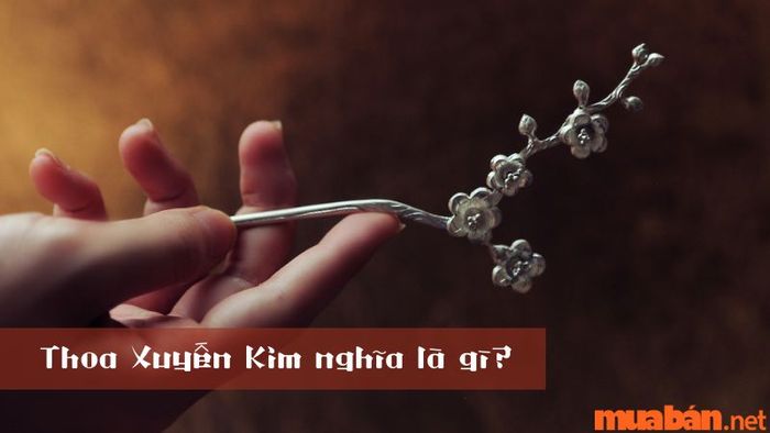Thoa Xuyến Kim có nghĩa là những món nữ trang quý giá như trâm cài bằng vàng và kim loại hiếm.