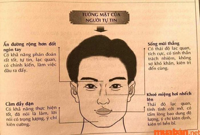 Tướng mặt của người tự tin thường có những đặc điểm rõ ràng, như sống mũi thẳng và khóe miệng nhếch nhẹ.