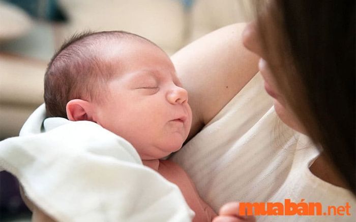 Mơ thấy ôm bé trai có thể là dấu hiệu bạn đang nắm giữ điều gì đó quan trọng, có thể là một cơ hội lớn trong cuộc sống hoặc công việc.