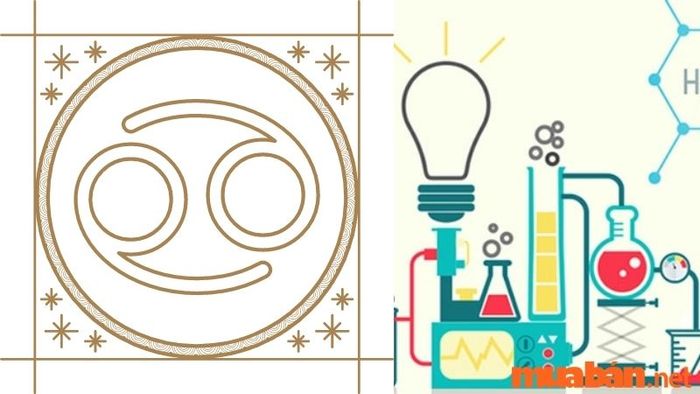 Môn Hóa là một trong những môn mà Cự Giải cảm thấy rất khó khăn. Họ không yêu thích những công thức và tính toán phức tạp, nhưng với sự nỗ lực, Cự Giải hoàn toàn có thể vượt qua và đạt kết quả tốt trong môn học này.