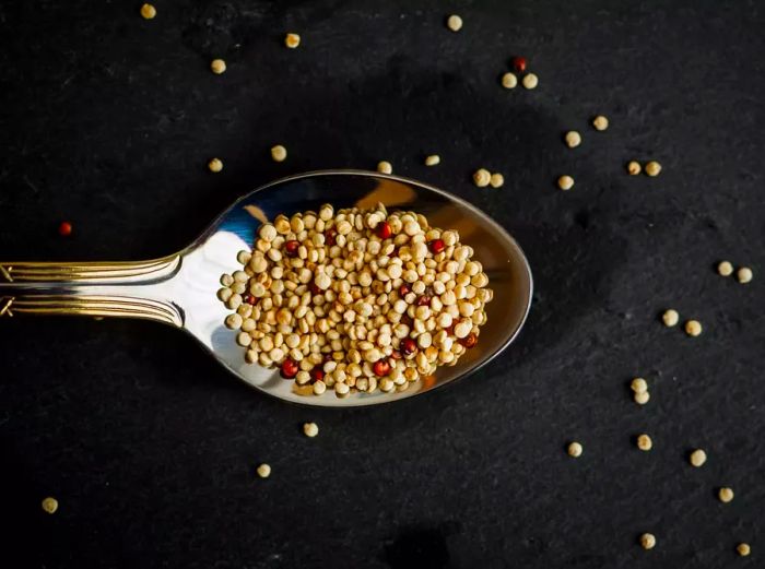 Quinoa on a Spoon Against a Dark Background