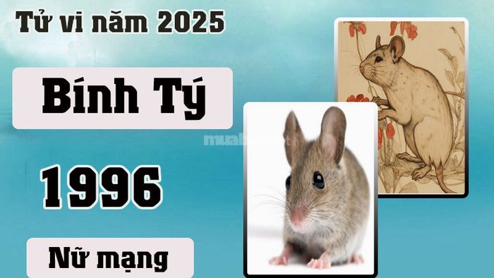 Tử vi nữ mạng Bính Tý 1996 năm 2025