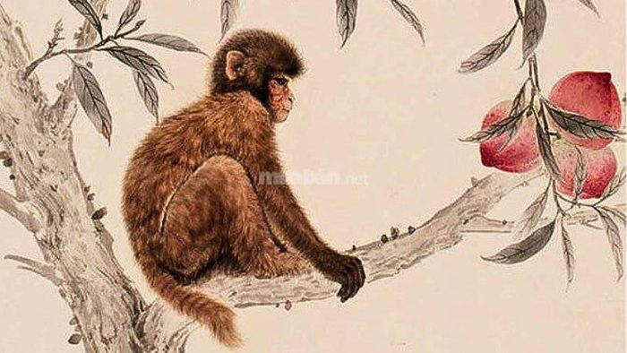 Vận niên năm 2025 của nữ mạng Giáp Thân 2004
