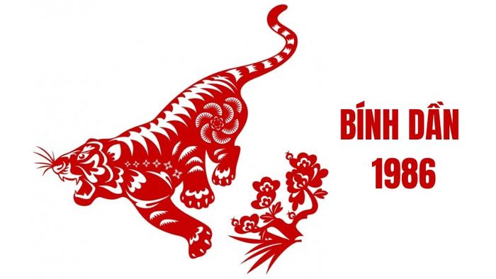 Phân tích chi tiết tử vi tuổi Bính Dần 1986 nam mạng năm 2025