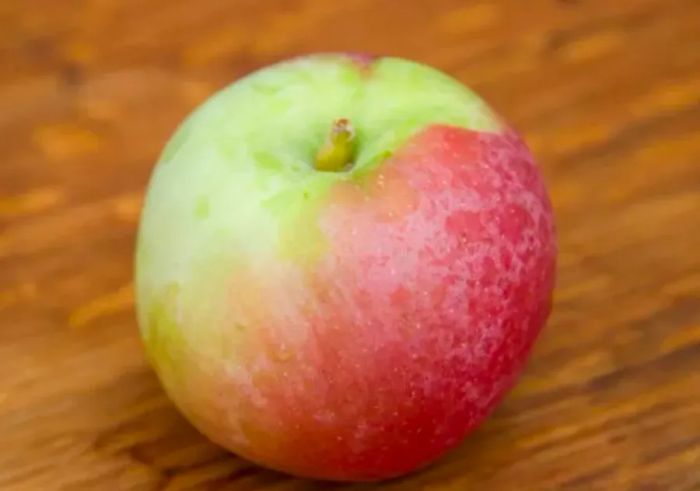 One McIntosh apple