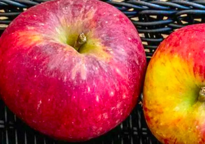 Two Winesap apples