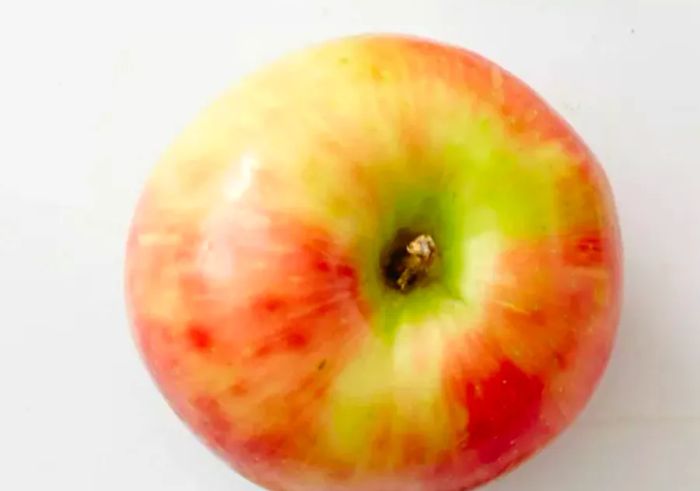 One Honeycrisp apple