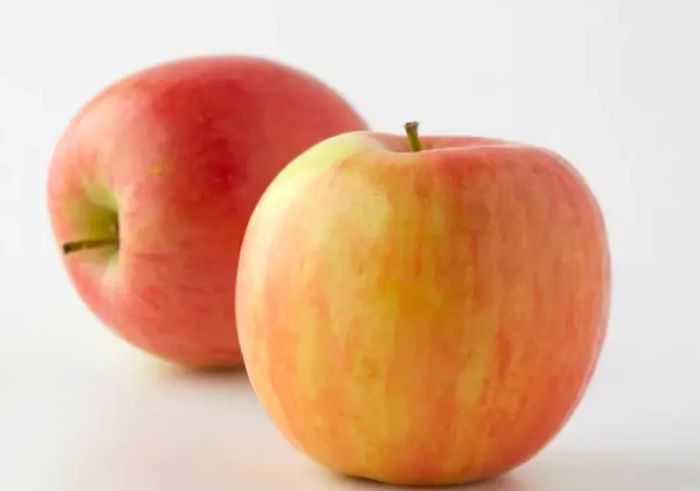 Two Fuji apples