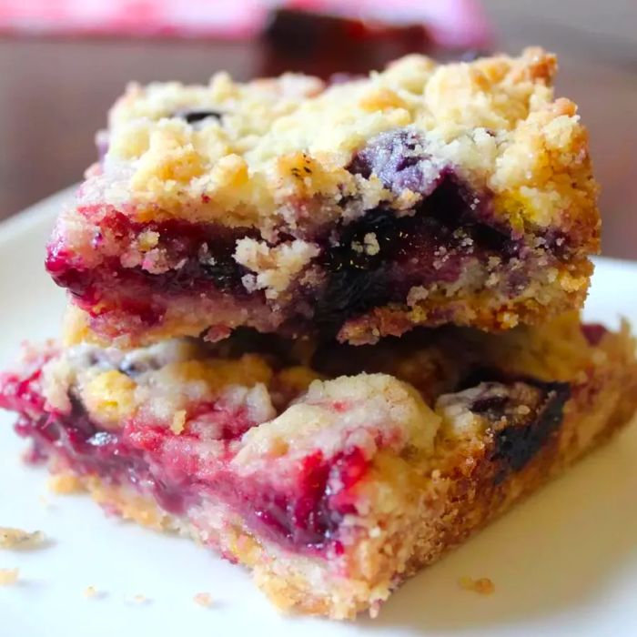 two Blueberry Crumb Bars on a white plate