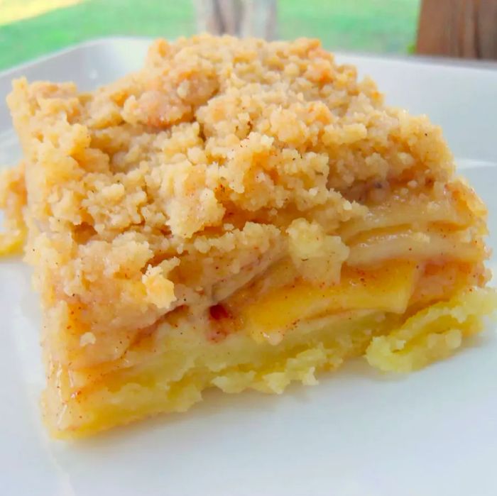 1050640 Apple Slab Pie 19460 SunnyDaysNora