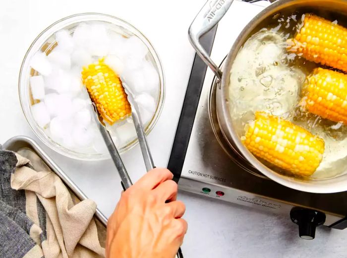 Shocking blanched corn cobs