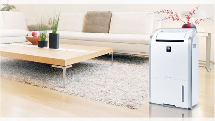 Kinh nghiệm chọn máy hút ẩm phù hợp cho phòng rộng