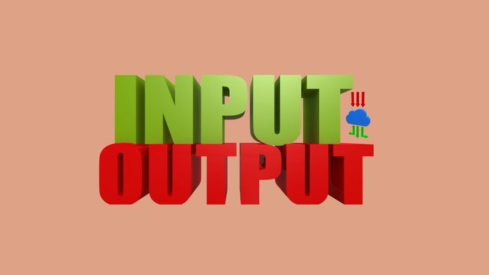 Input nghĩa là gì?