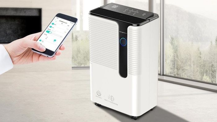 Máy hút ẩm cho phòng 50m² có thực sự cần thiết không?