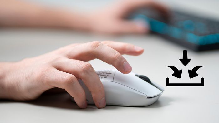 Ký hiệu input là gì?