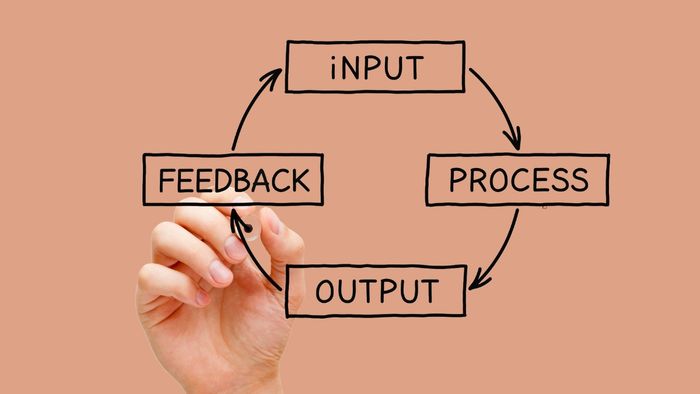 Input và Output là gì?