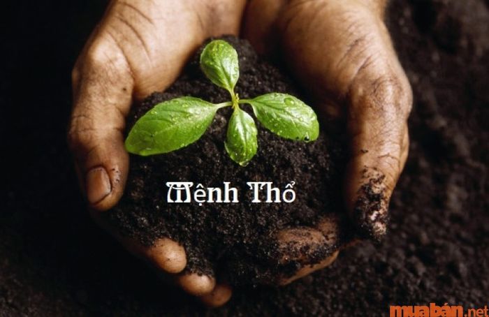 Trong Ngũ Hành, cung Cấn thuộc mệnh Thổ.