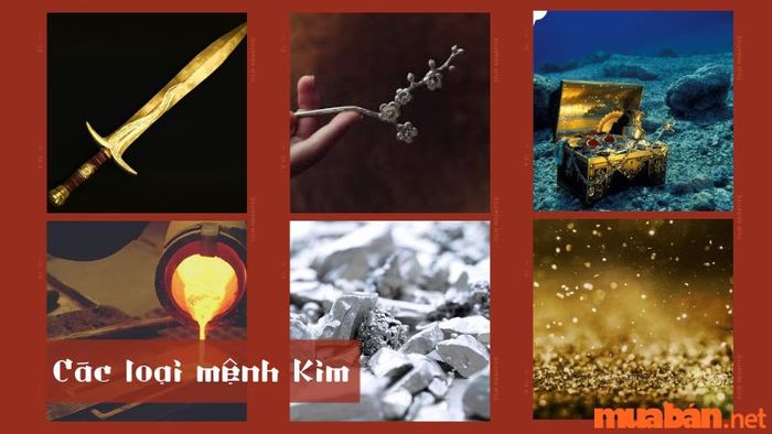 Những người thuộc cung Cấn có thể mang mệnh Kim, với các năm sinh cụ thể như sau: