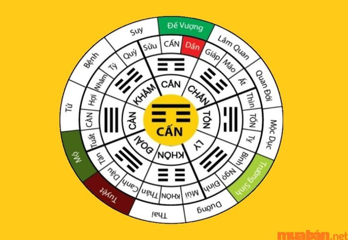 Ý nghĩa của cung Cấn trong Bát Tự là gì?