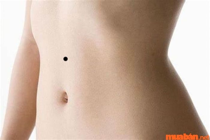 Nốt ruồi giữa ngực và bụng