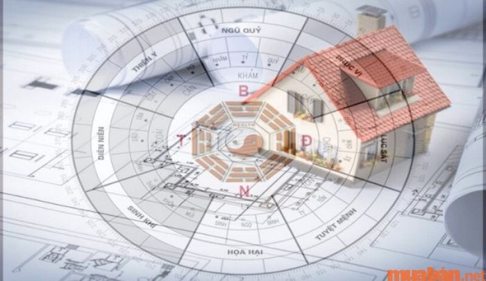 Cung Cấn cần tránh những hướng nào?