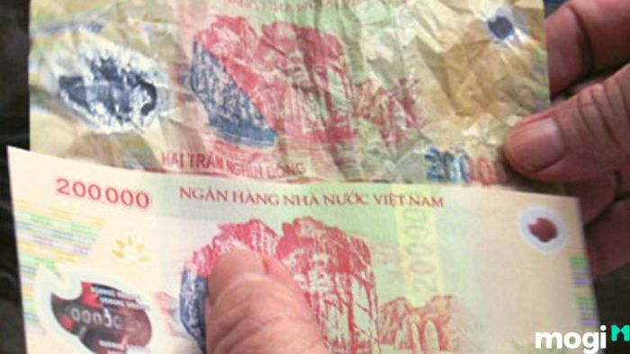 Giải Thích Giấc Mơ Nhặt Tiền: Những Ý Nghĩa Quan Trọng