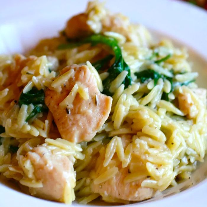 Close-up shot of Garlic Chicken with Orzo Pasta served in a white bowl