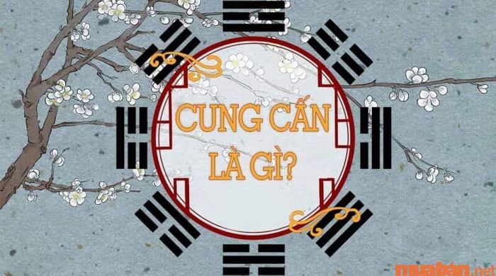 Cung Cấn là gì?