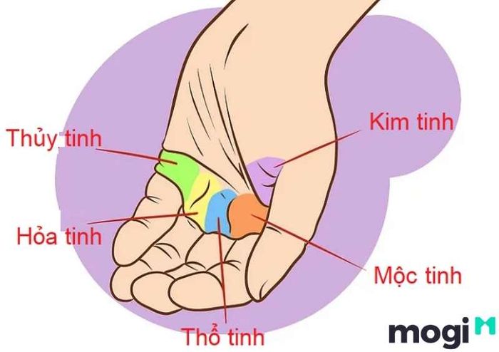 Vận mệnh của người có gò Thái Dương hài hòa
