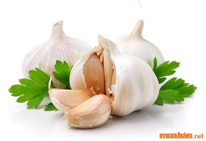 Mang tỏi bên người để xả xui