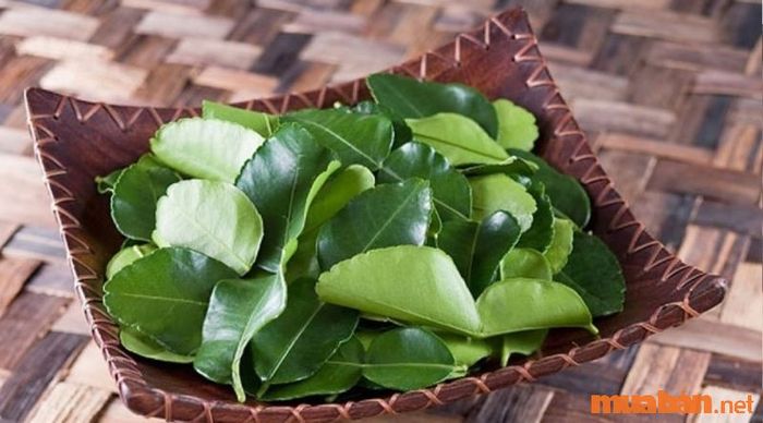 Tắm lá bưởi để xả xui là một phương pháp đơn giản nhưng rất hiệu quả để thanh tẩy cơ thể và tâm hồn.