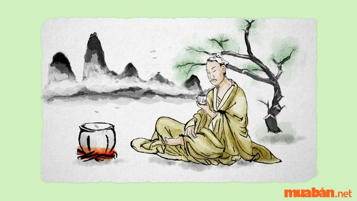 Tính cách của cung Tốn
