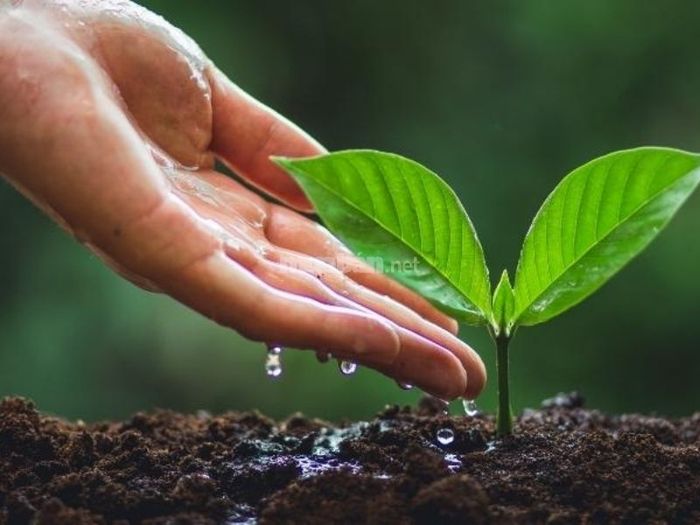 Trong tiết Vũ Thủy, các hoạt động sinh học của động vật cũng thay đổi rõ rệt