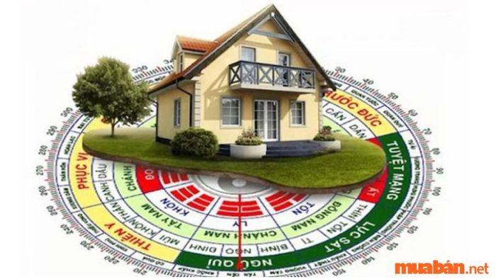 Cung Tốn hợp với những hướng nào?