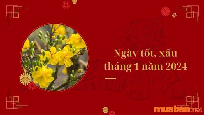 Xem ngày tốt xấu theo lịch âm tháng 1 năm 2024
