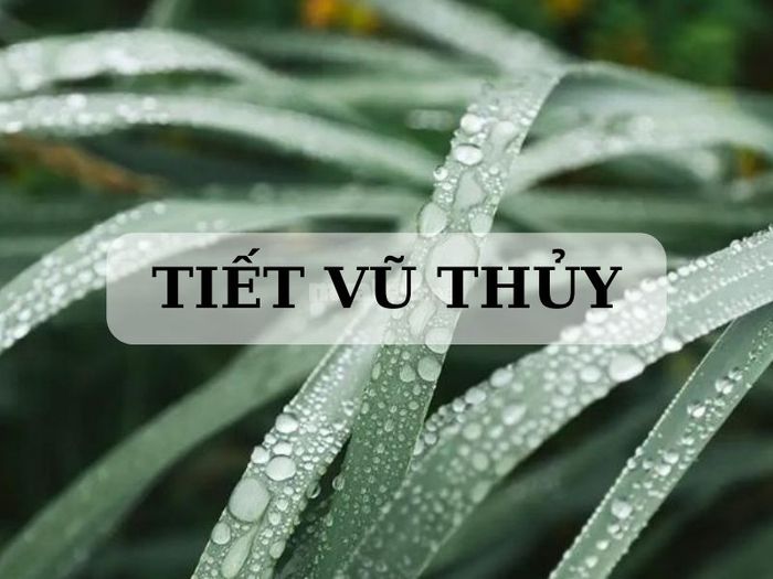 Tiết Vũ Thủy là gì? Tiết Vũ Thủy năm 2024 sẽ vào ngày nào?