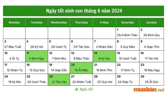 Ngày đẹp trong tháng 6 năm 2024 để sinh con