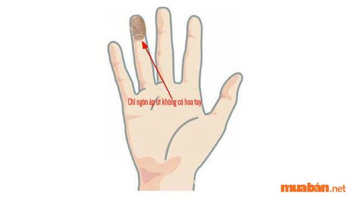 Chỉ ngón áp út không có hoa tay