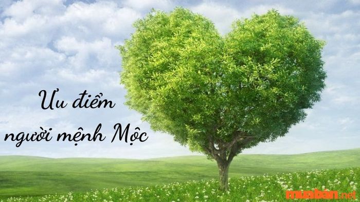 Tính cách của người mệnh Mộc