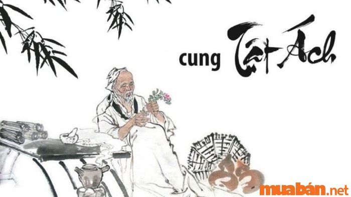 Cung Tật Ách